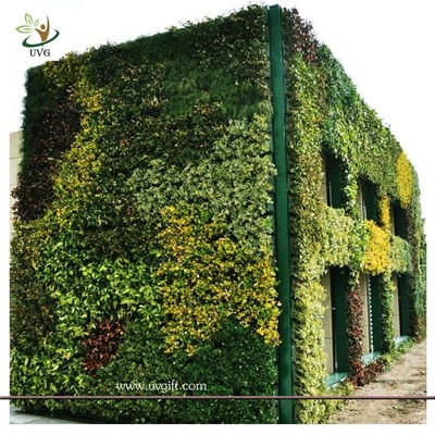 China UVG GRW011 Vertical Garden Green Wall fake plastic plants walls indoor and outddor use supplier