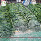 UVG cheap fake indoor plastic palm tree leaves wholesale for party and events decoration PTR062