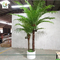 UVG indoor bonsai artificial mini palm trees with plastic leaves for office landscaping PTR061 supplier